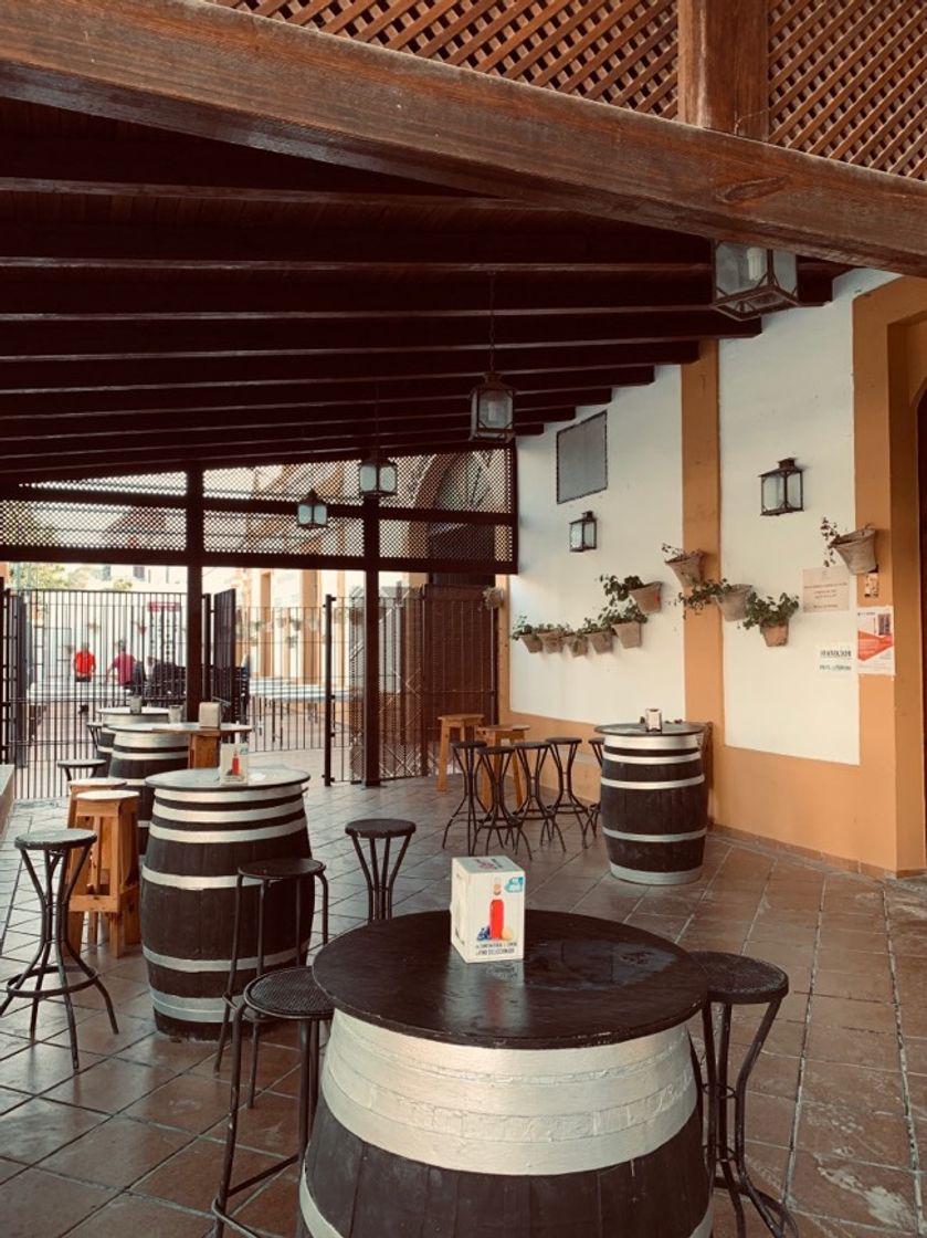 Restaurants Bodega Cooperativa Católico Agrícola Los Madroñales