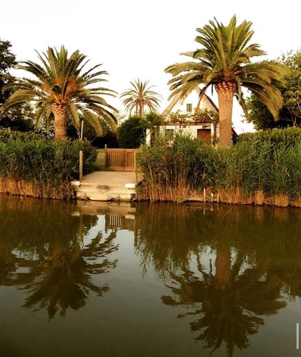 Parc Natural De l'Albufera