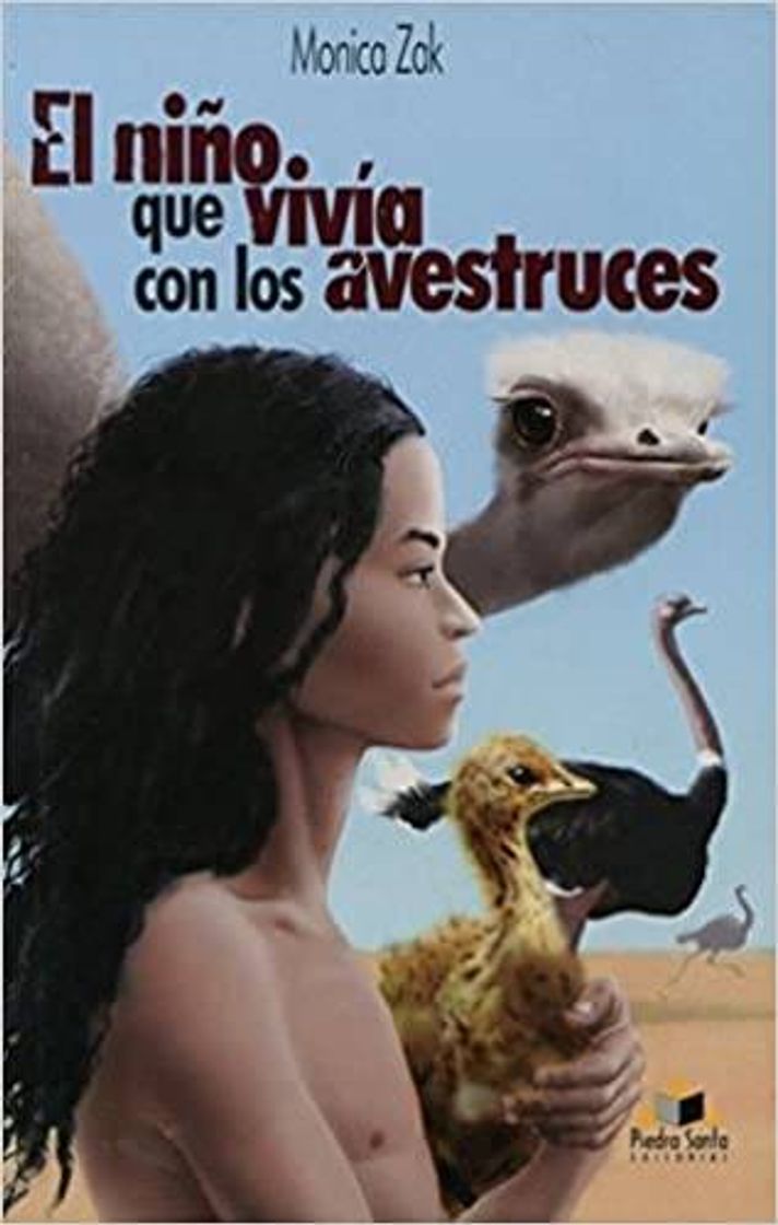 Libro El Niño Que Vivía Con Las Aventuras - Monica Zack