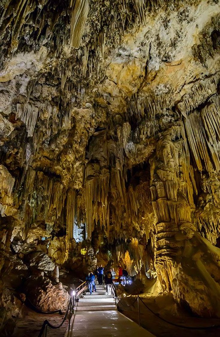 Lugar Cave of Nerja