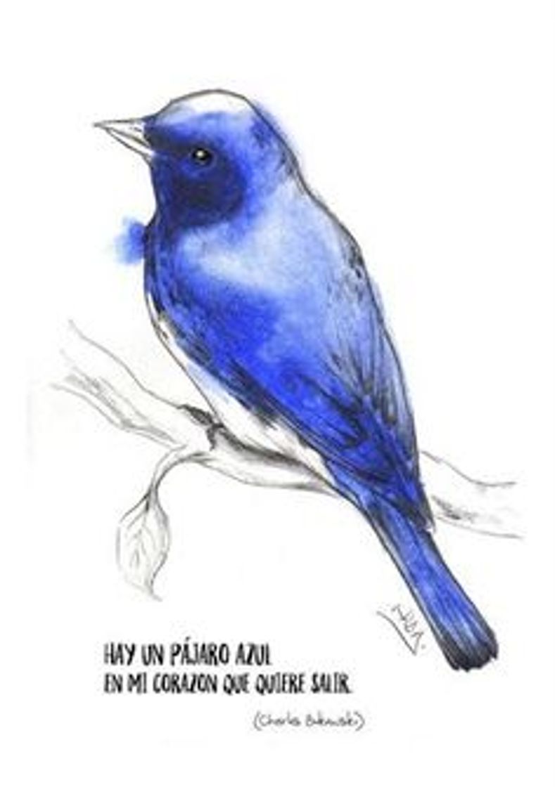 Libro Pájaro azul 🐦- chales Bukowski 