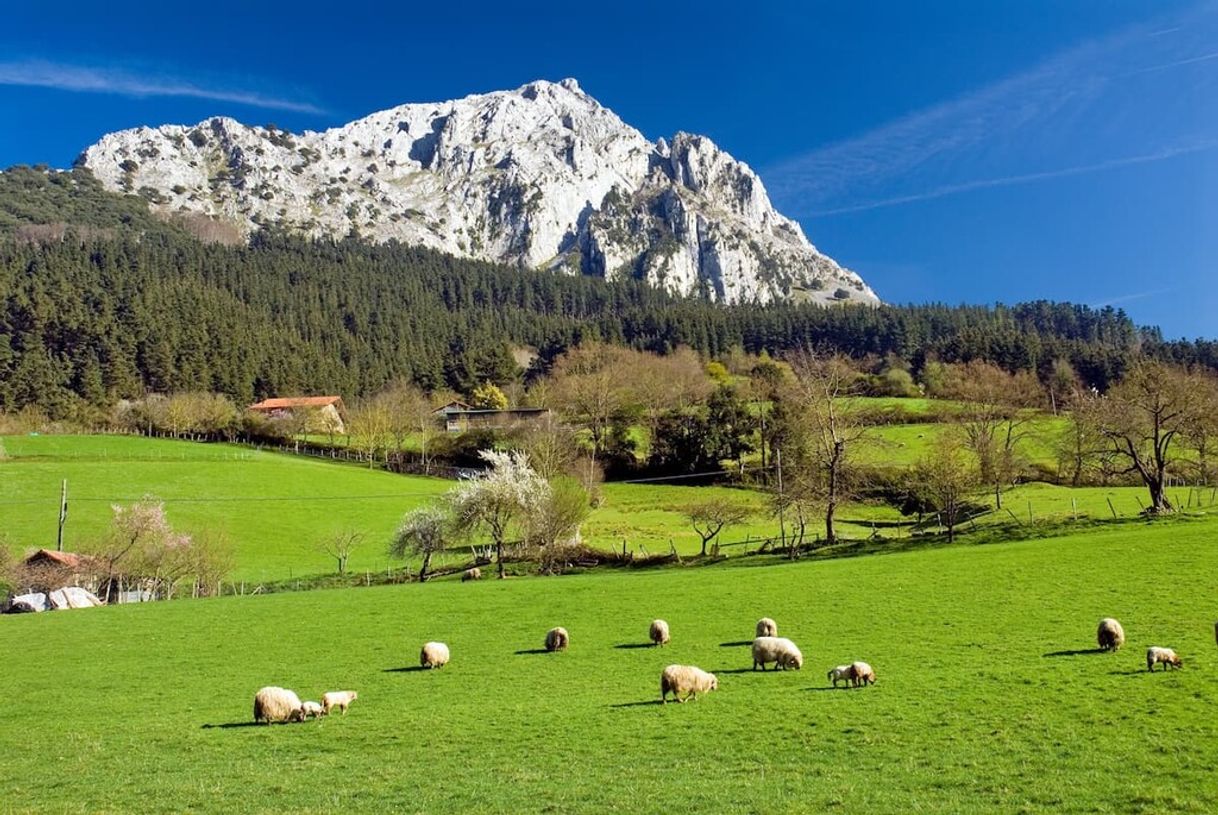 Place Parque Natural Urkiola