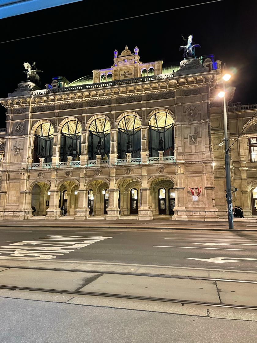 Lugar Vienna Operahouse