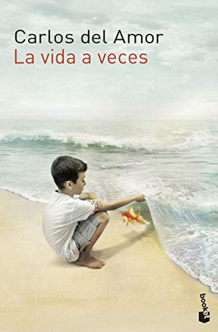 Books La vida a veces