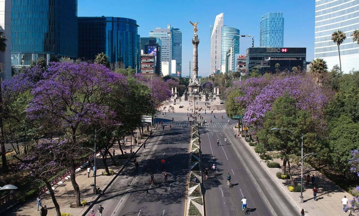 Lugar Avenida Paseo de la Reforma