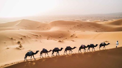 Place Merzouga Desert