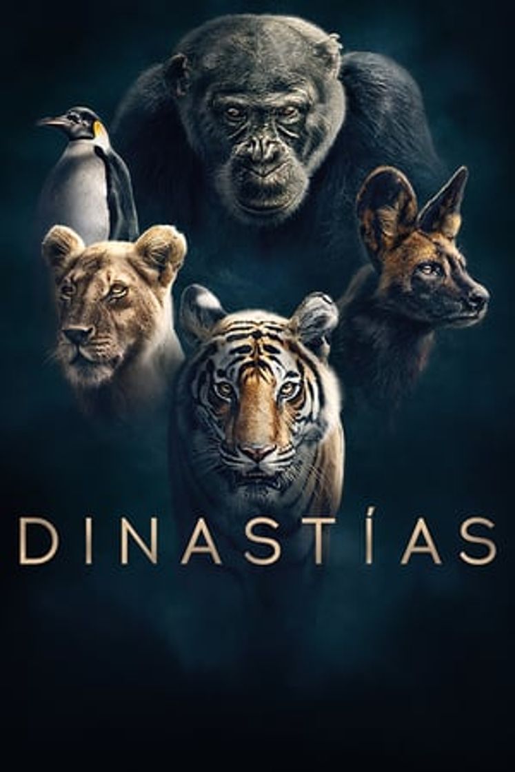 Serie Dinastías