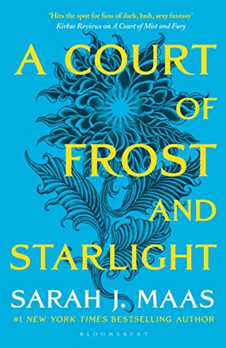 Book A Court Of Frost And Starlight: The #1 bestselling series: 4