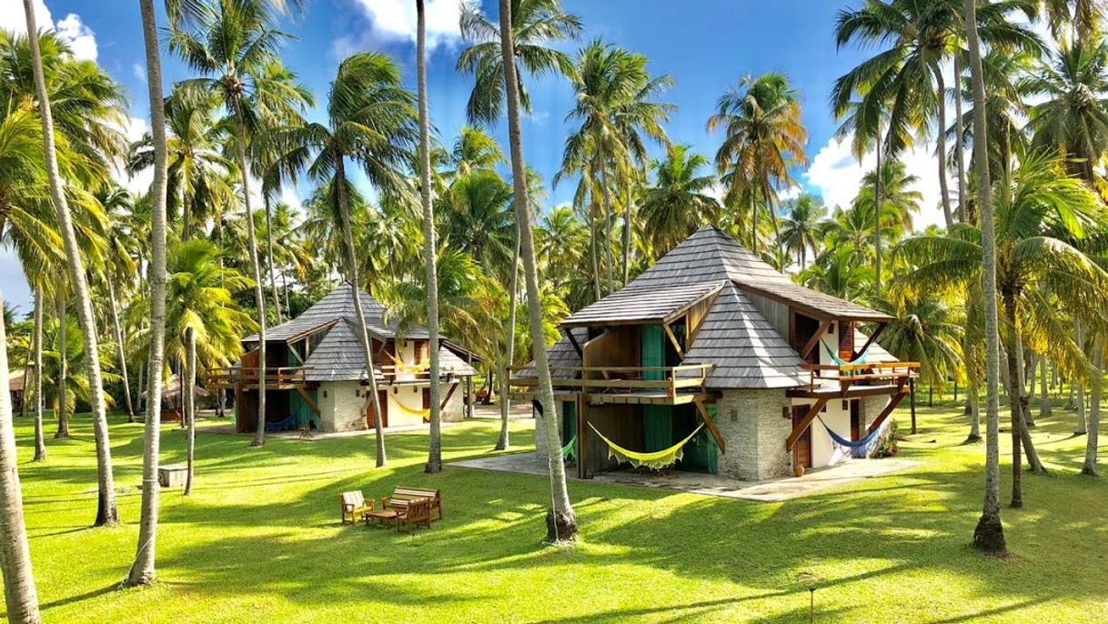 Lugar Pontal dos Carneiros Beach Bungalows