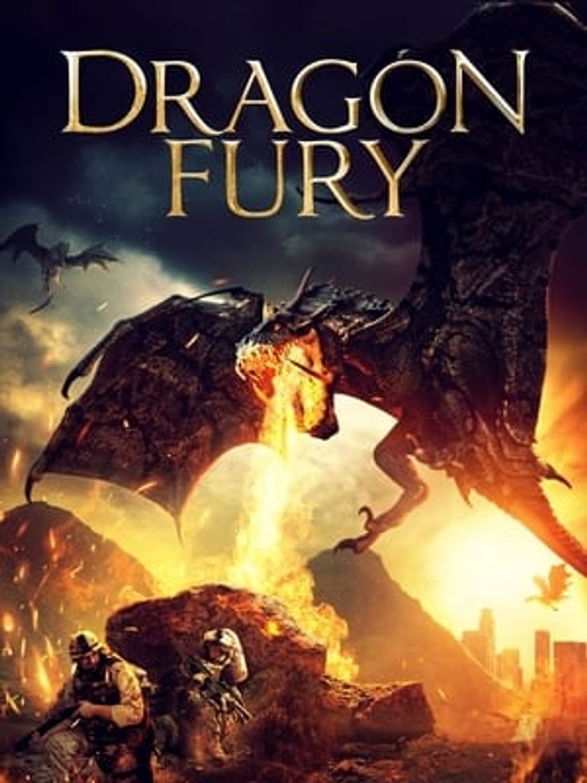 Película Dragon Fury