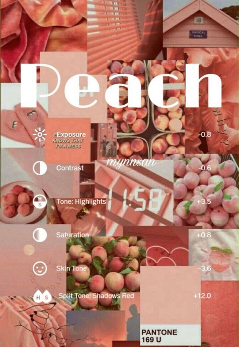 Social Filtro/filter 