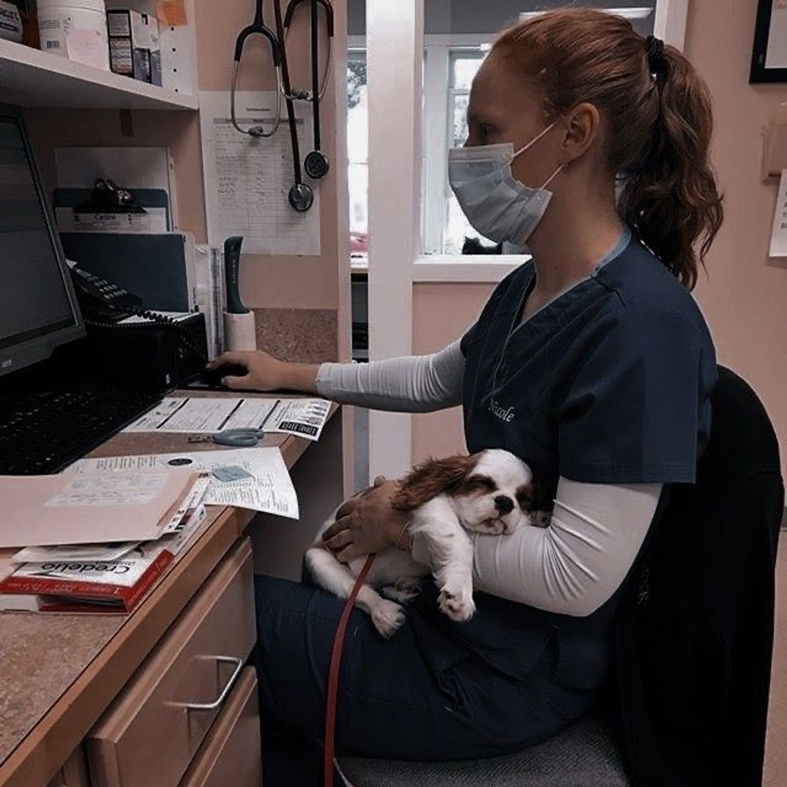 Fashion Médica de animais 💚👩🏽‍⚕️