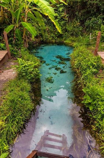 🌲 Cachoeira