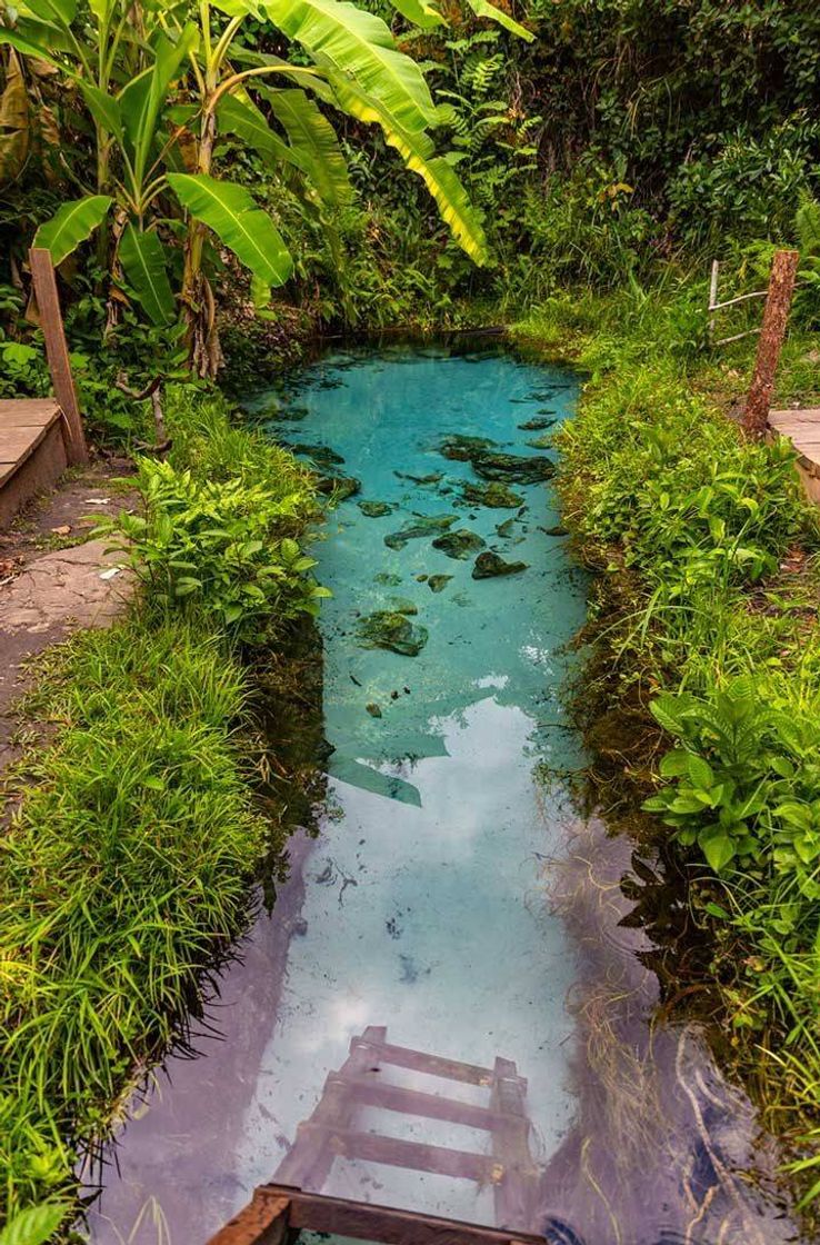 Moda 🌲 Cachoeira