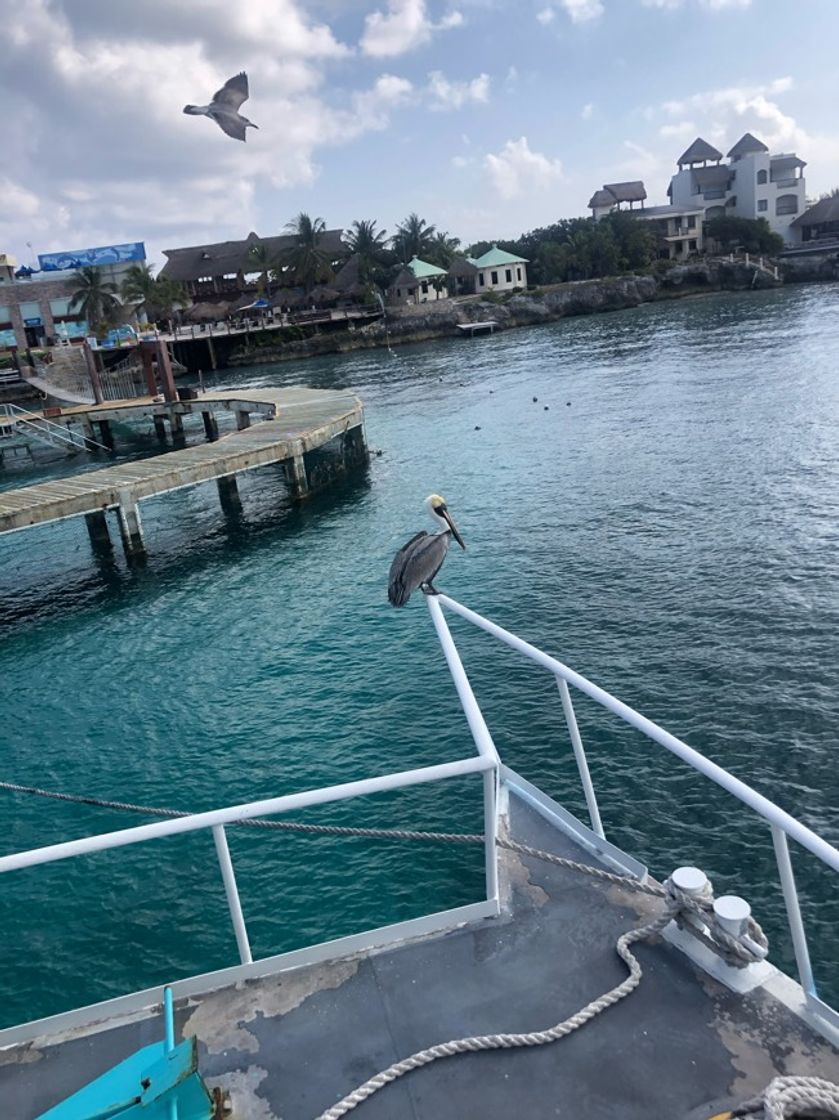 Place Isla Mujeres