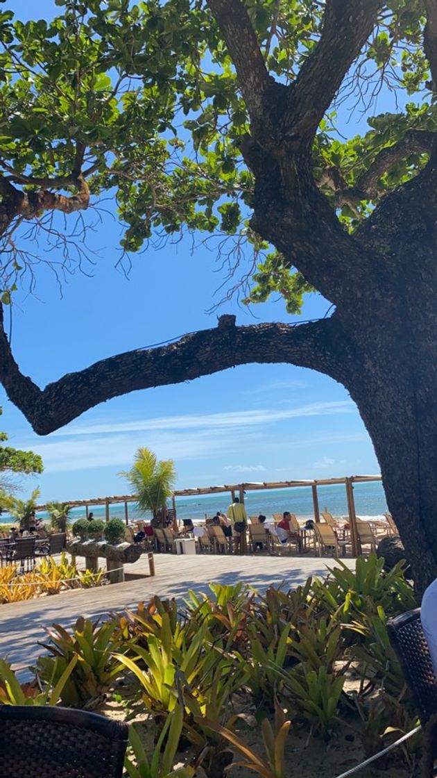 Lugar Porto Seguro Praia Resort