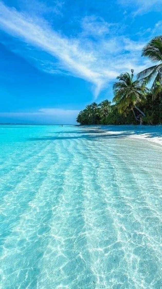 Lugar Hawaii