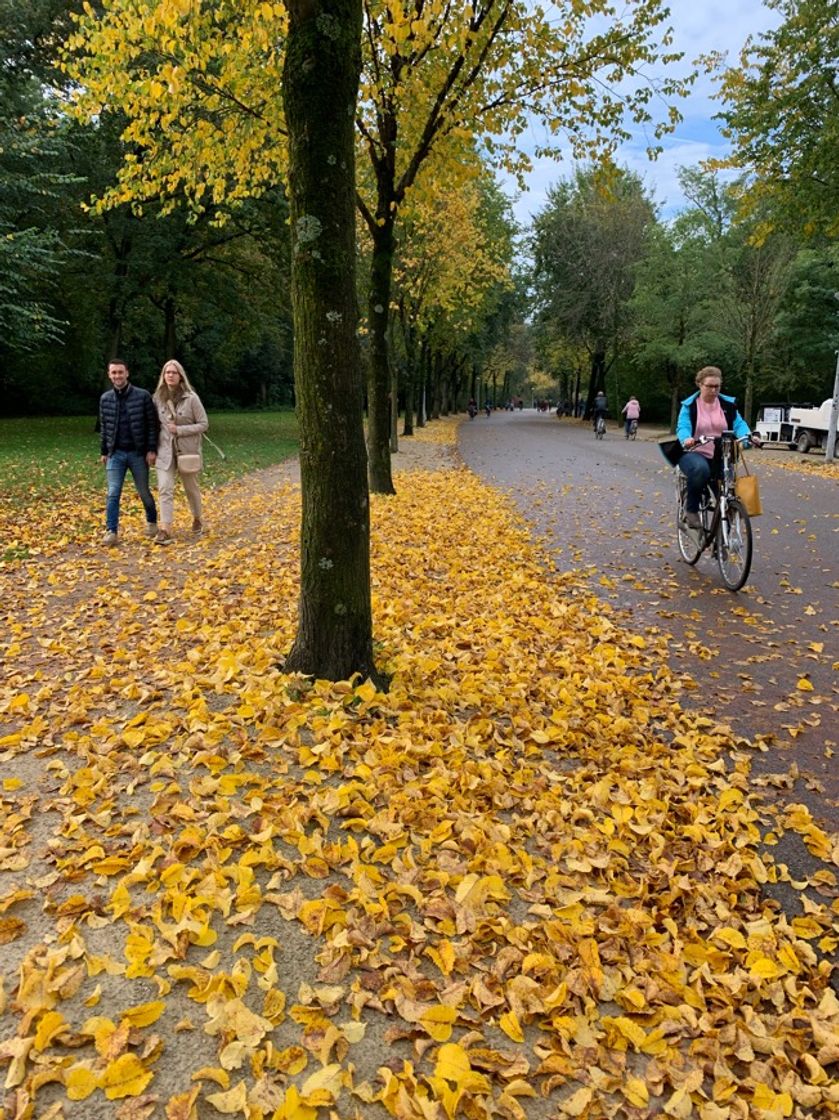 Restaurantes Vondelpark