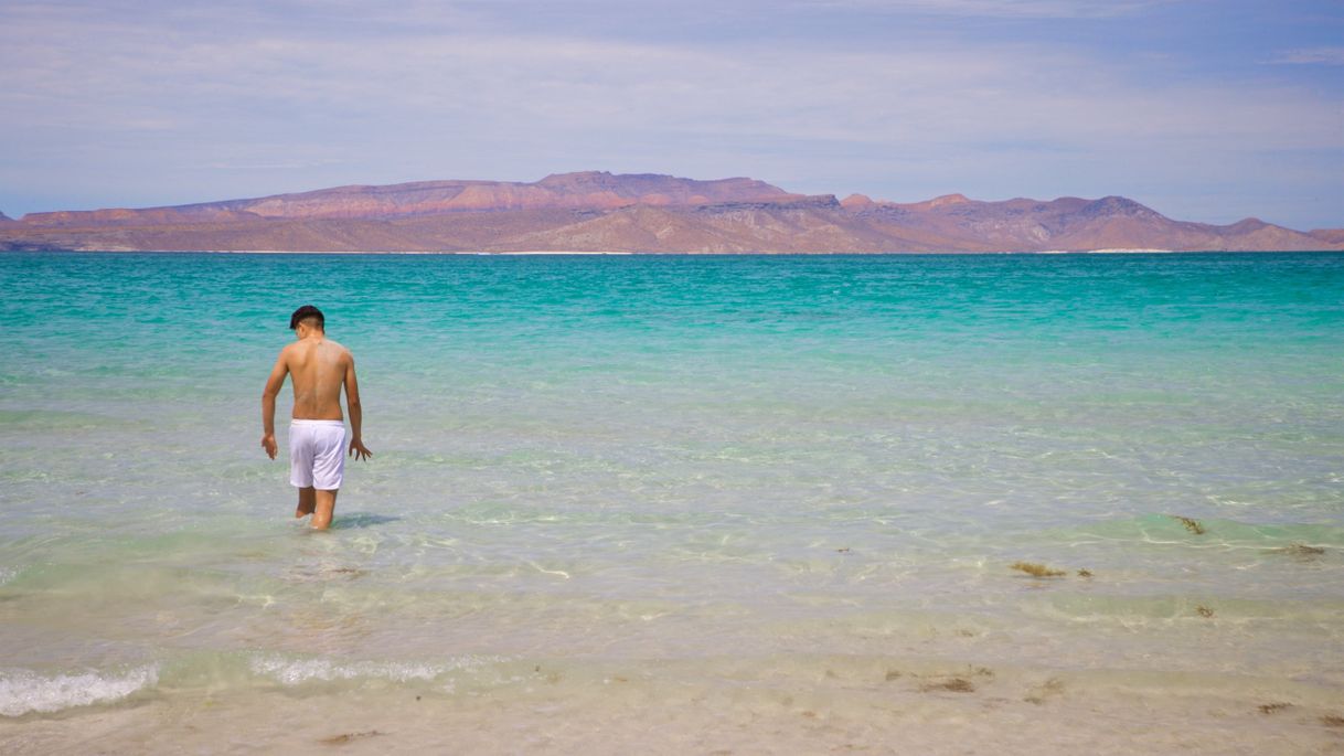 Lugar Playa el Tecolote