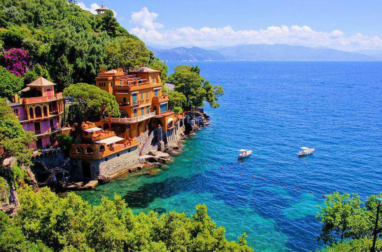 Social  Lugares lindos 