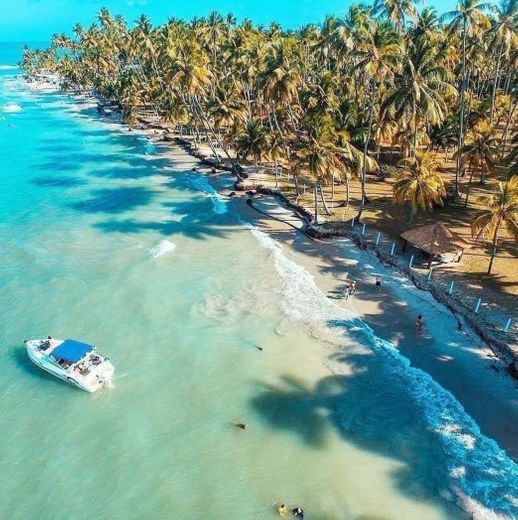 Praia dos Carneiros