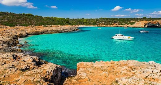 Palma de Maiorca 