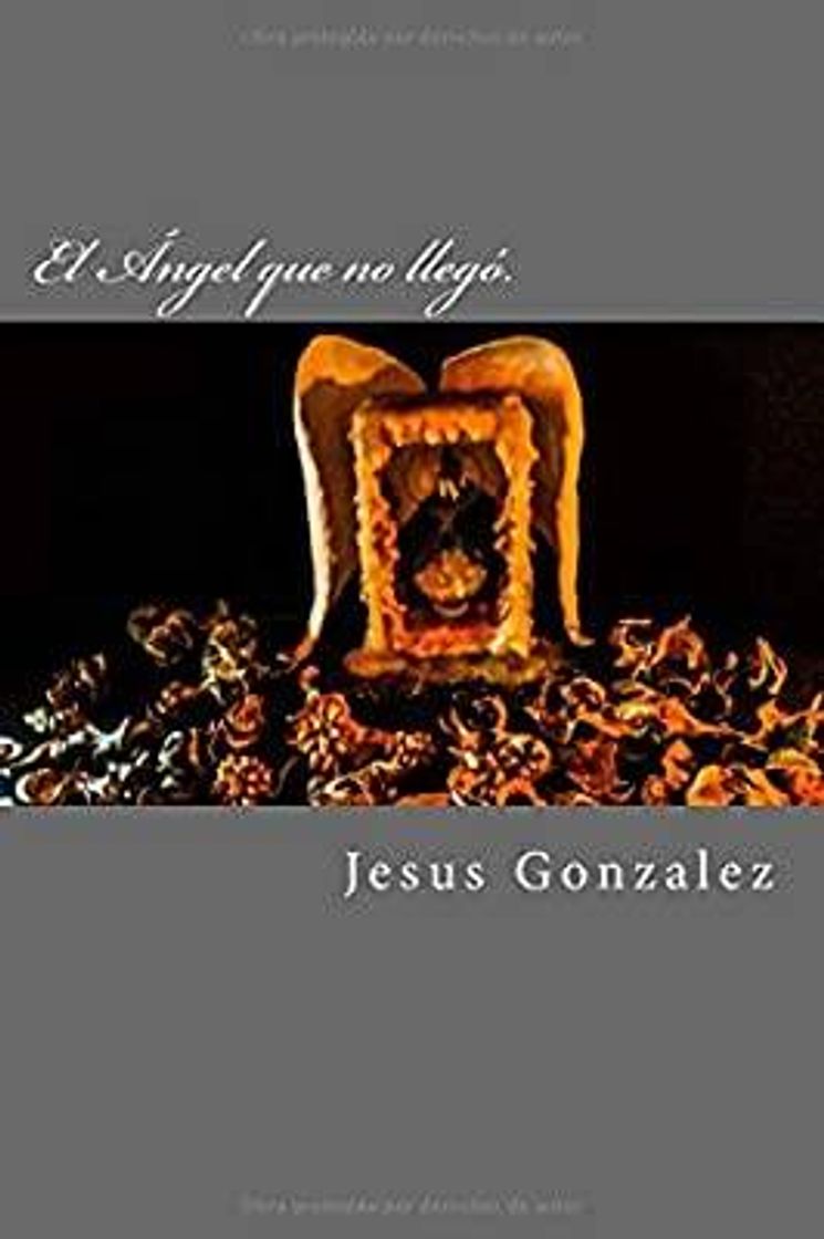 Book El Angel que no llego.: Momentos de oscuridad