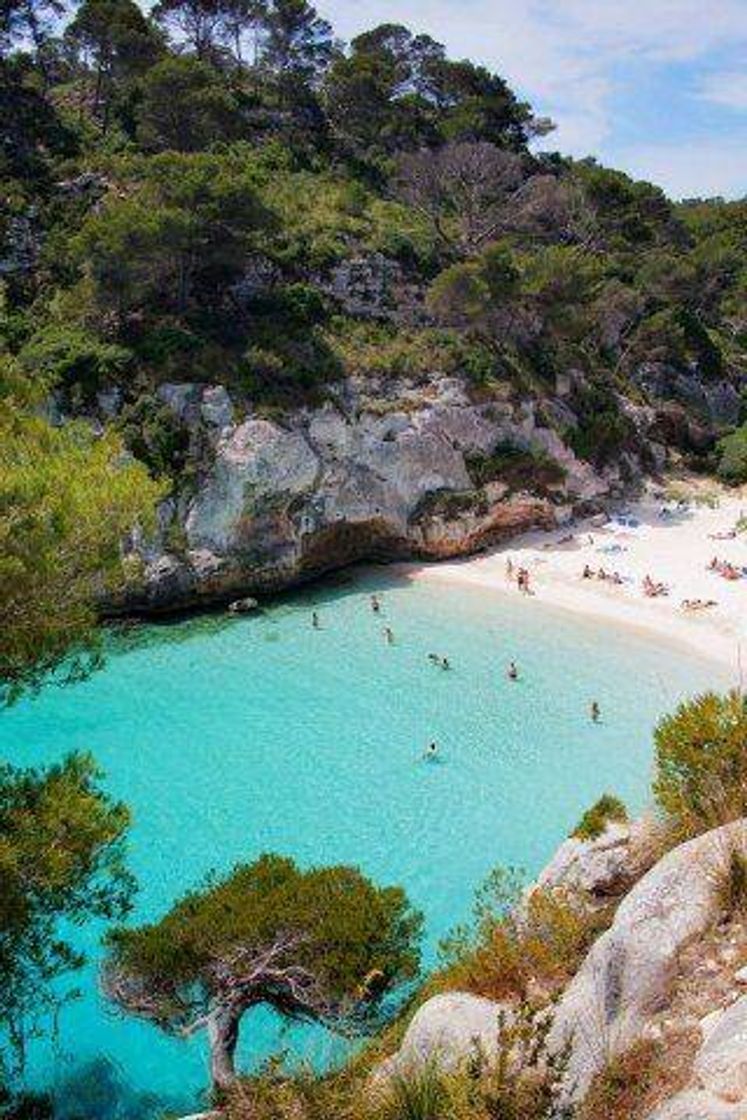 Social Praia das oustras 
