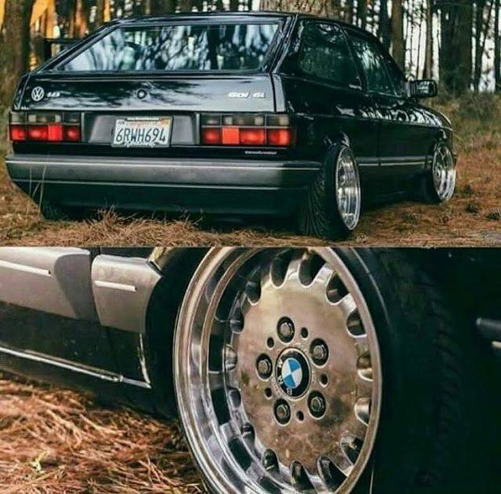 Social Golzinho que fala ne