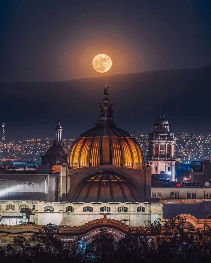 Place Palacio de Bellas Artes