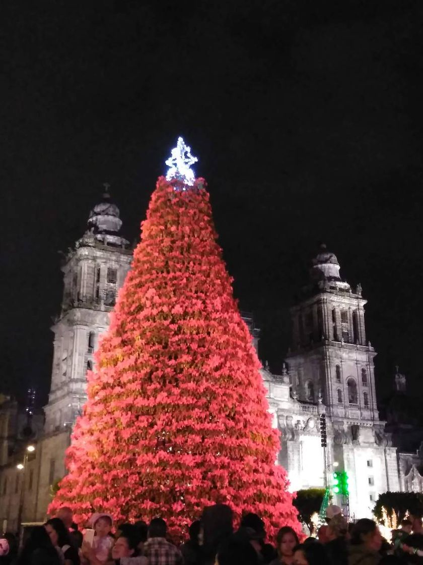 Place Zócalo
