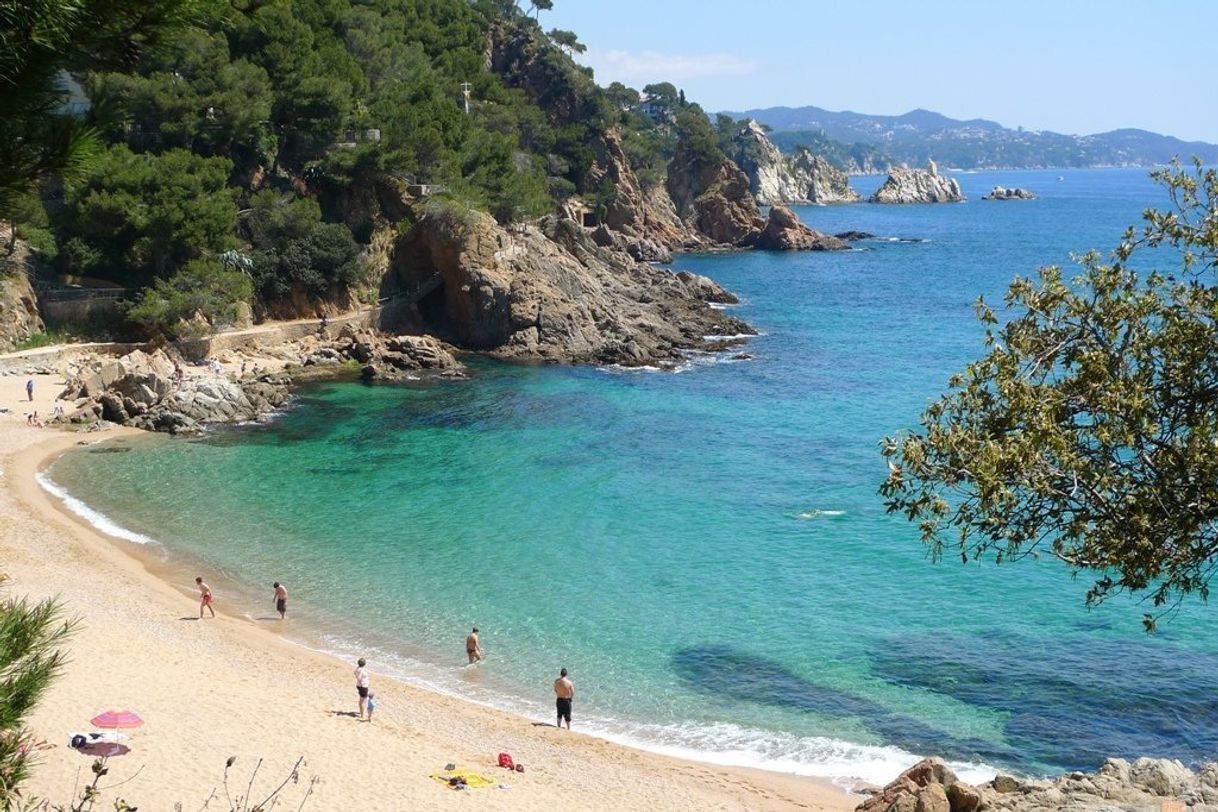 Place Cala Sant Francesc