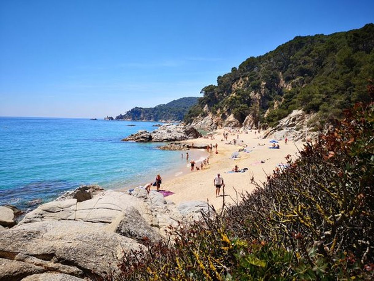 Place Platja De Sa Boadella