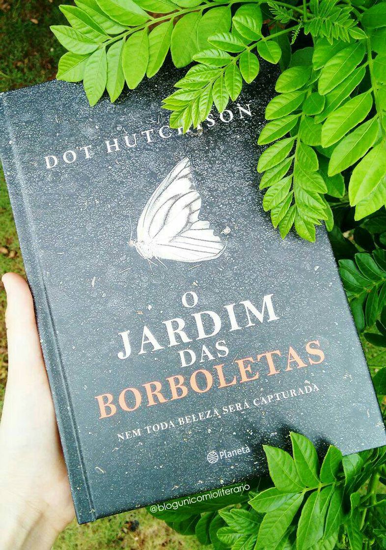 Libro O jardim das borboletas