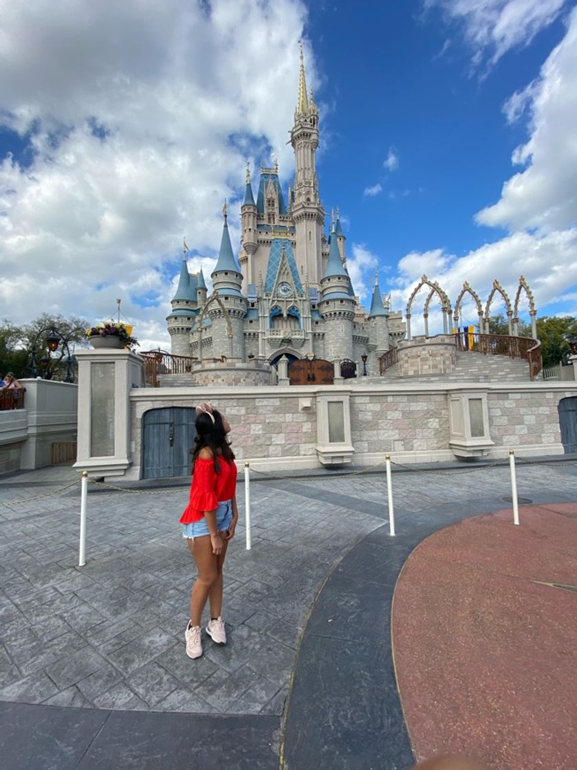 Place Disney World