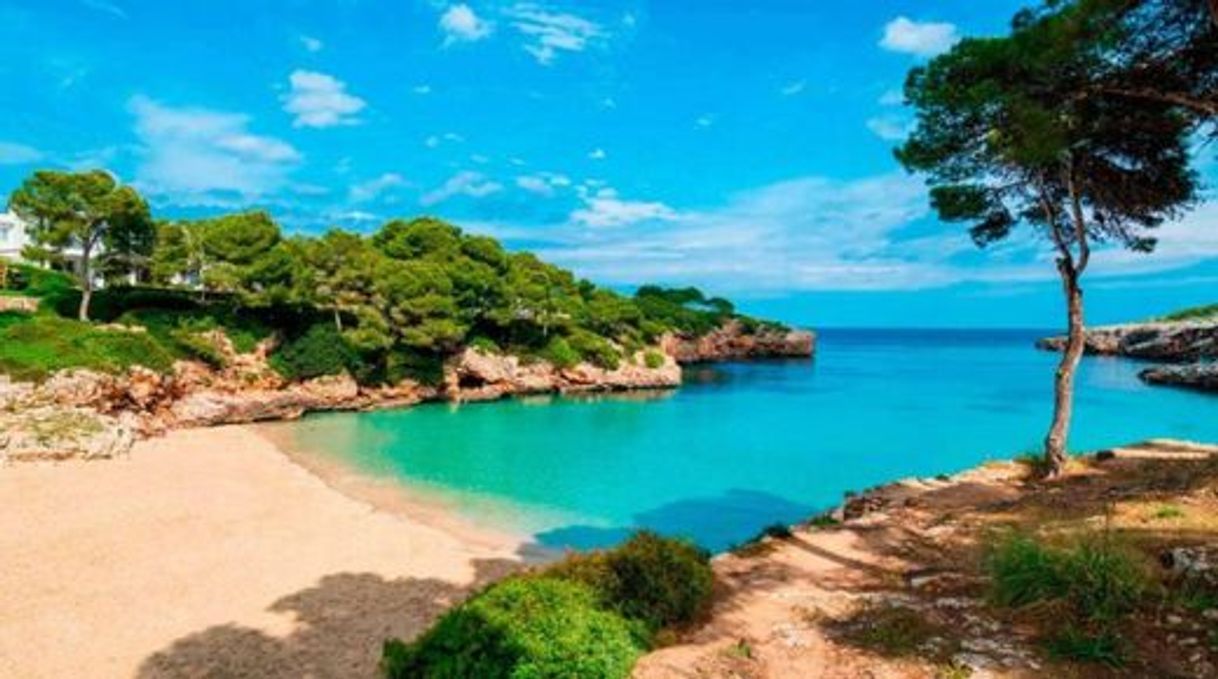 Places 〖 Cala Esmeralda 〗 Calas y Playas de Mallorca - Mallorqueando ...