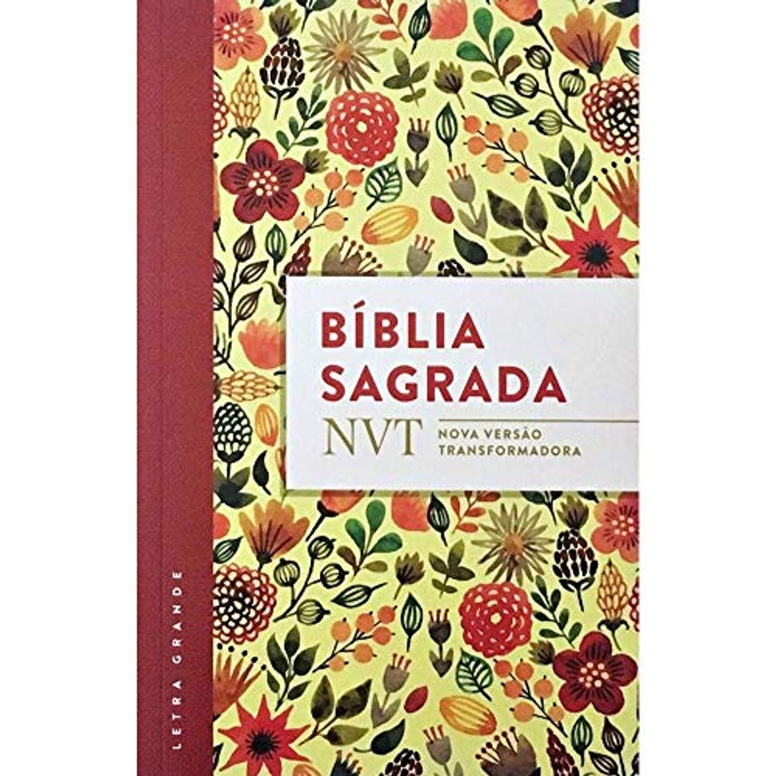 Libro Biblia Sagrada