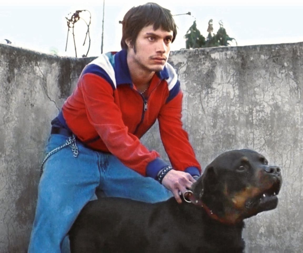 Película Amores perros