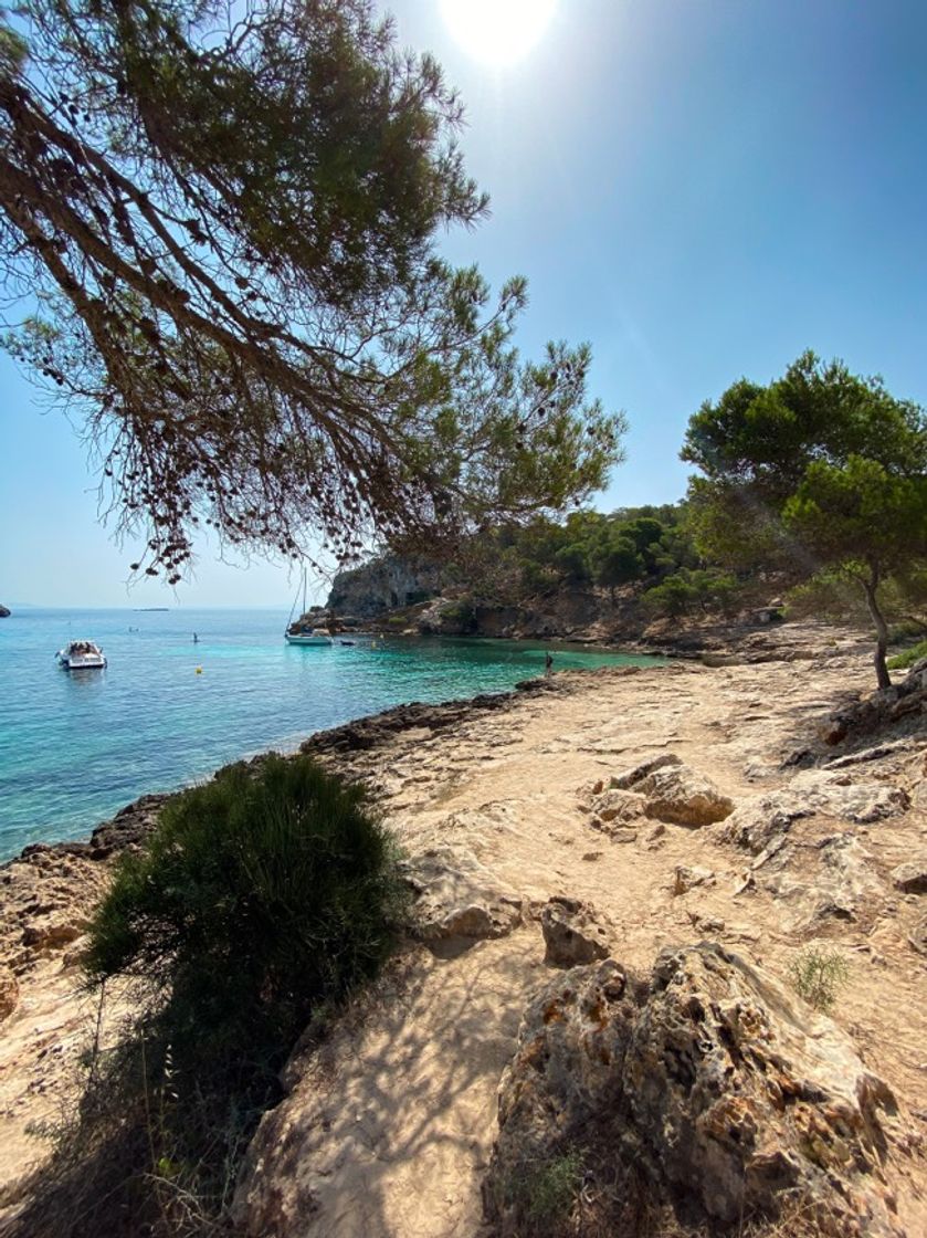 Place Cala Portals Vells