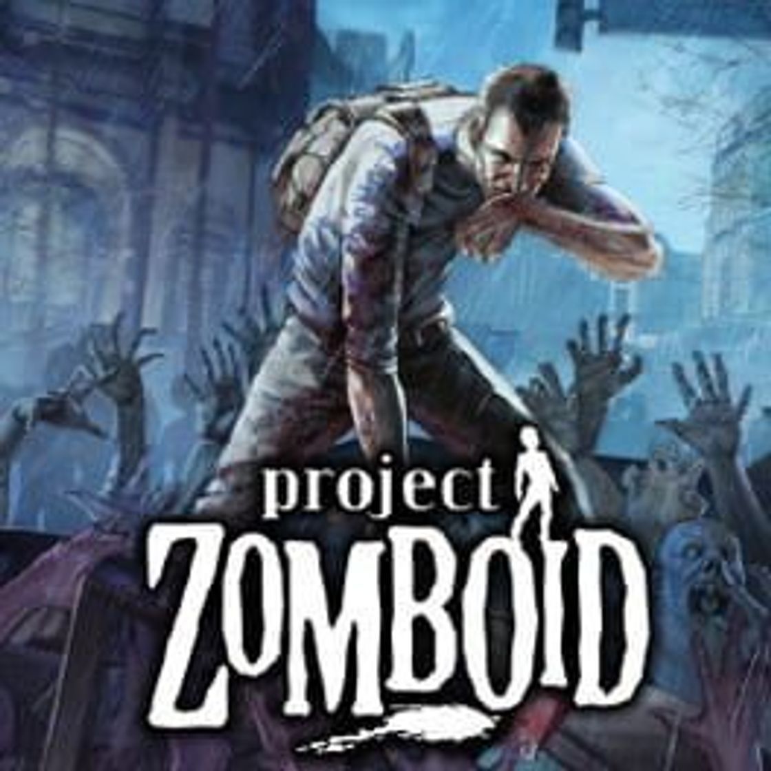 Videogames Project Zomboid