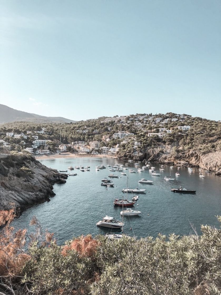 Lugar Cala Vadella - View Point