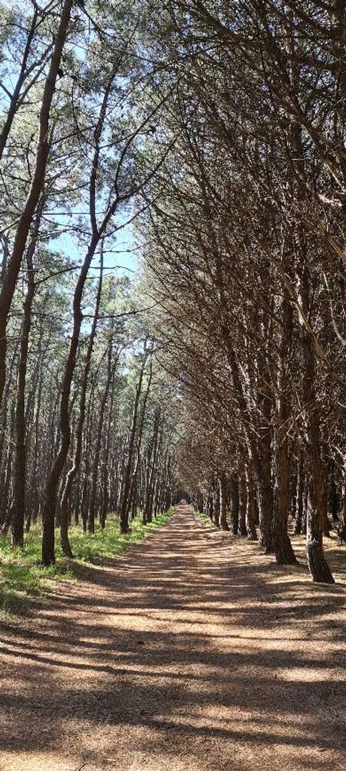 Lugar Necochea