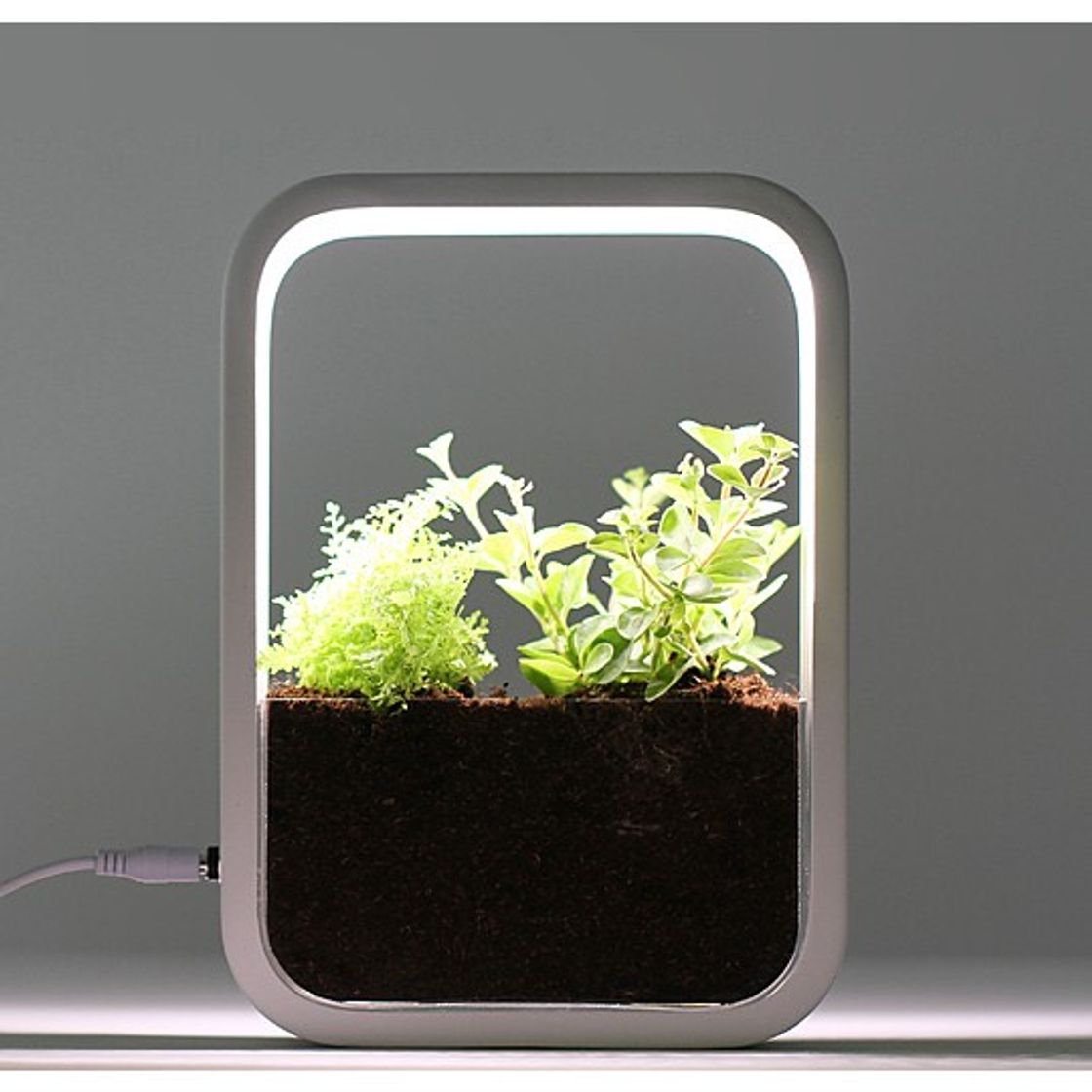 Product Jardín interior con lámpara de cultivo LED