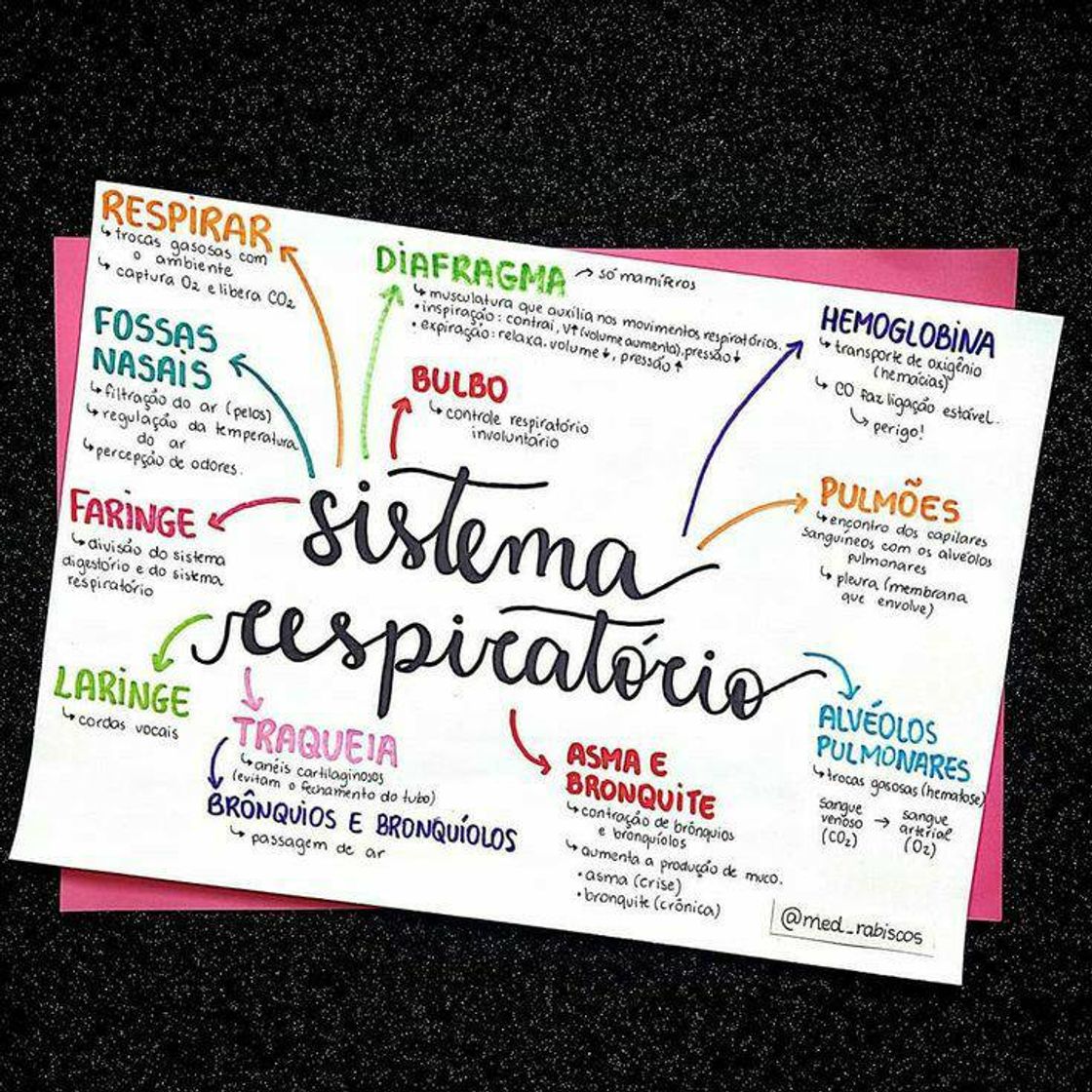Social sistema respiratório 