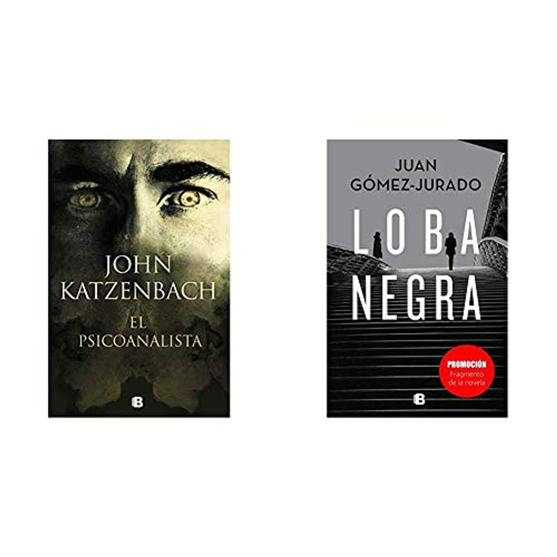 Libros El Psicoanalista (La Trama)+Promoción fragmento de la novela Loba Negra (No venal)