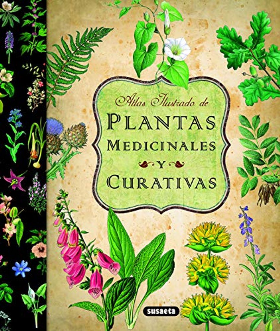 Libro Plantas Medicinales Y Curativas