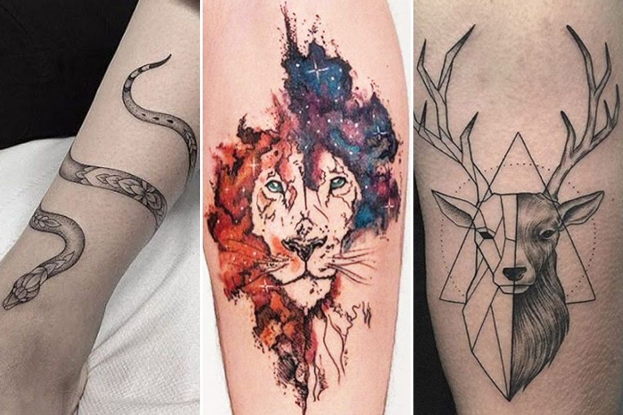 Moda Tatuagens de animais