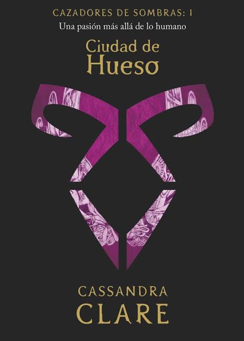 Libro Cazadores de sombras 1