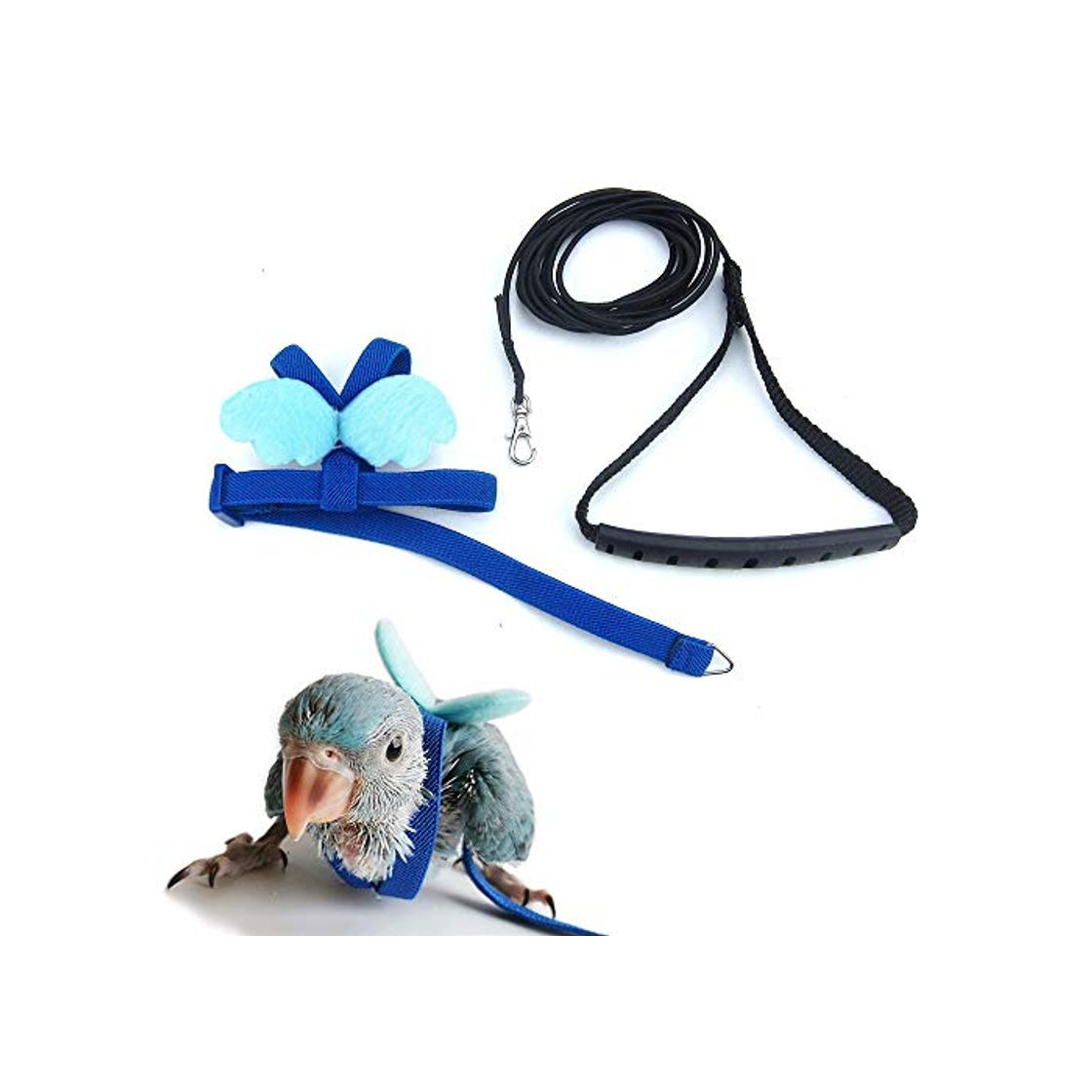 Social ASOCEA - Arnés para pájaros y correas