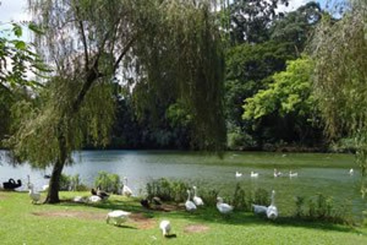 Lugar Parque Ibirapuera - Vila Mariana